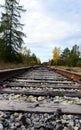 Vertical image of train tracks, blue sky, tall trees Royalty Free Stock Photo