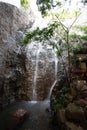 Vertical image of a waterfalls  with tree with a high rock wall Royalty Free Stock Photo