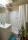 Vertical Interior of a bathroom with white shower curtain with printed cactus design Royalty Free Stock Photo
