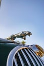 Vertical of Jaguar Hood Ornament in a sunny day.