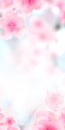 Vertical Japanese Spring Sakura cherry blossoms 120x240 size website small skyscraper banner white background and header Royalty Free Stock Photo