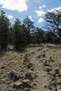 Vertical, Juniper and Pinon campground hiking trail