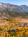 Vertical landscape of the beautiful valley with colorful fall foliage Royalty Free Stock Photo