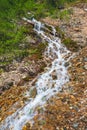 Vertical landscape with beautiful  waterfall and stream in forest among rich vegetation. Atmospheric woody scenery with fallen Royalty Free Stock Photo