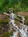 Vertical landscape with beautiful  waterfall and stream in forest among rich vegetation. Atmospheric woody scenery with fallen Royalty Free Stock Photo