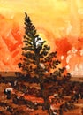 Vertical landscape of conifer tree silhouette and sun set. Yellow, red and orange sky. Brown forest. Hand drawn watercolor sketch Royalty Free Stock Photo