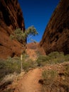 Vertical landscape of a deserted valley on the background of the Uluru