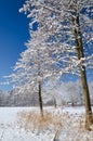 Winter on lake coast