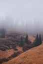 Vertical landscape with view on mountain forest covered with low clouds. Royalty Free Stock Photo