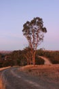 Vertical Landscape winding country Road sunset Royalty Free Stock Photo