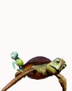 Isolated Pixar Finding Nemo Turtles Royalty Free Stock Photo