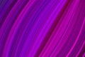 Abstract with deformation of parallel lines. Gradation. Magenta