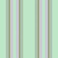 Vertical lines fabric. Pattern vector stripe. Textile texture seamless background Royalty Free Stock Photo