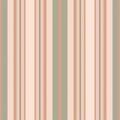 Vertical lines stripe pattern. Vector stripes background fabric texture. Geometric striped line seamless abstract design Royalty Free Stock Photo