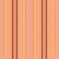 Vertical lines stripe pattern. Vector stripes background fabric texture. Geometric striped line seamless abstract design Royalty Free Stock Photo
