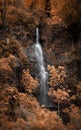 Vertical long exposure of a waterfall surrounded by brown autumn leaves
