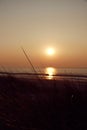 Vertical low-angle of grass silhouette at sunset against sky with shining sun on the horizon Royalty Free Stock Photo