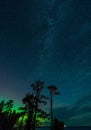 Vertical low angle of trees against starry night sky at aurora borealis at Lake Superior, Michigan Royalty Free Stock Photo