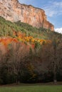 Vertical low-angle of rocky mountain with yellowing trees on some parts