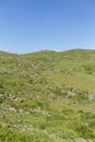 Vertical low-angle shot of an Aragats mountain covered with grass in spring, Armenia Royalty Free Stock Photo