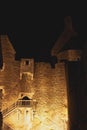 Vertical low angle shot of the famous castle Aggstein in Austria at night Royalty Free Stock Photo