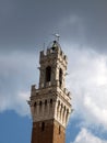 Vertical low angle shot of the historic Torre del Mangia tower in Siena, Italy