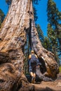 Vertical low angle shot of a male standing in a hollow tall tree in Sequoia National Park