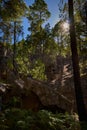 Vertical low angle shot of silhouettes of trees on a mountain with huge rocks