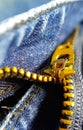 Vertical macro shot of denim jeans zipper. Stock images. Royalty Free Stock Photo