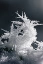 Vertical macro shot of a pile of snowflakes before a blurred gray background Royalty Free Stock Photo