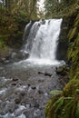 Vertical Majestic Falls in McDowell Creek Park, Oregon