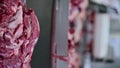 Vertical meat raw cut factory