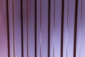 Vertical metallic profile pattern lilac red galvanized surface covered with drops of dew rain industrial background base ribbed Royalty Free Stock Photo