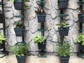 Vertical micro herb garden