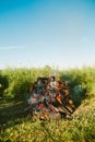 Vertical of a midsummer solstice bonfire, traditional Latvian summer solstice celebration