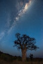 A vertical Milky Way night sky photograph with a Baobab Royalty Free Stock Photo