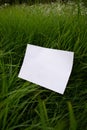 Vertical mockup of white A4 sheet on green grass in raindrops with scattered focus.