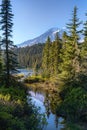 Vertical of Mount Rainer National Park in Washington Royalty Free Stock Photo