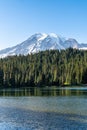 Vertical of Mount Rainer National Park in Washington Royalty Free Stock Photo