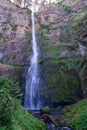 Vertical of the Multnomah Waterfall in Oregon, United States.