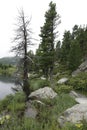 Vertical wide angle Austrian calm scenic alps landscape of a conifer pine tree, rocks at a small lake Royalty Free Stock Photo