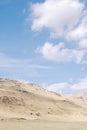 Vertical nature background with dry sandy land