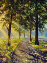 Bright sun rays in forest shining through trees sunny illustration Royalty Free Stock Photo