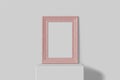 Vertical Old Mock-up Picture Of A Coral Frame Stands On A White Shelf. Simple Interior. Vintage Design Scratched Paint. 3D