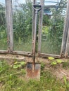 Vertical of an old rusty shovel leaning the windows in the yard.