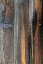 Vertical old wood grain close up grain Royalty Free Stock Photo