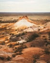 Vertical of an outback desert with a shingleback lizard on red soil, South Australia Royalty Free Stock Photo