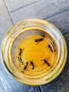 Vertical overhead shot of bees in a yellow glass