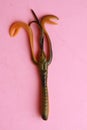 Vertical overhead shot of a fishing lure isolated on a pink background