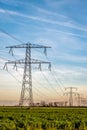 High voltage pylons with cables in a long row in a rural landscape in the Netherlands Royalty Free Stock Photo